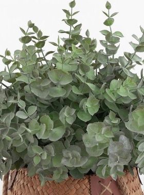 No-maintenance Eucalyptus Greenery Realistic Artificial