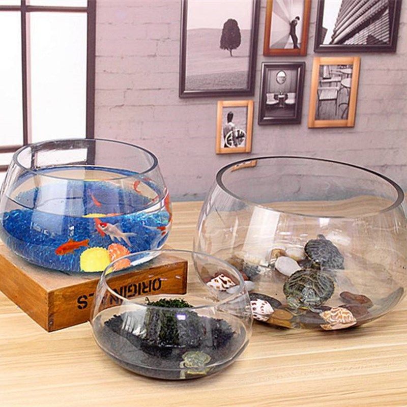 客厅小型制氧过滤一体机换水神器鱼缸玻璃圆形办公桌绿萝水培家用