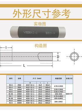 RI-3大功率釉膜无感高频电阻器25W10R13R15R20R30R50R100R150R欧M