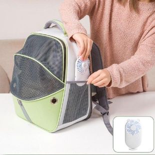 Cat Collision Backpack Pet Color Mesh Expandable
