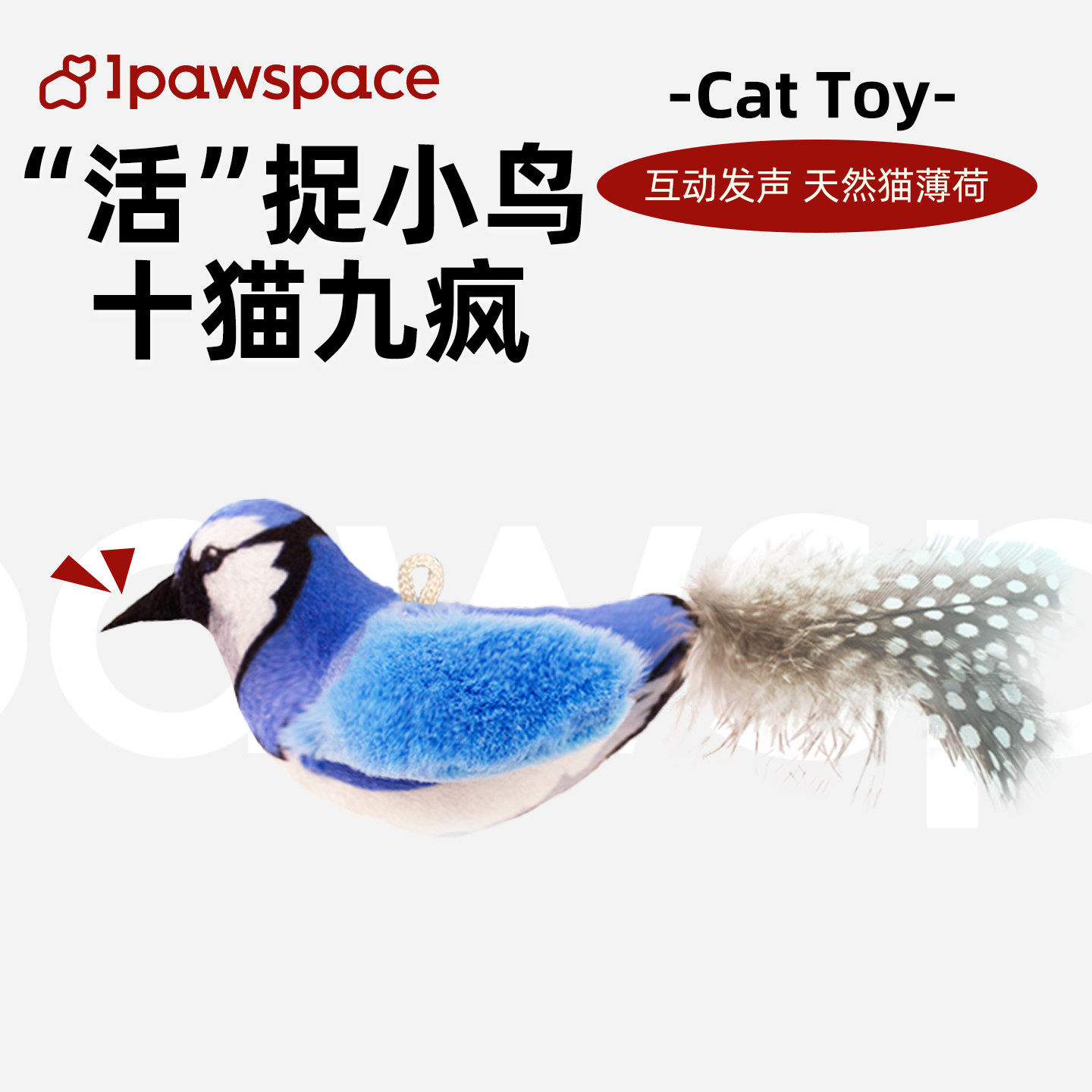 IPAWSPACE猫咪玩具自嗨解闷宠物玩具猫薄荷逗猫棒小鸟发声玩具,宠物/宠物食品及用品,发声玩具,淘宝优惠券,粉丝福利购,淘宝优惠卷