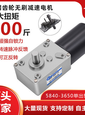 无刷直流减速电机i 蜗轮蜗杆5840-3650低速大扭力微型调速电机马