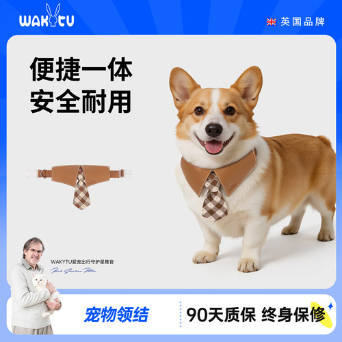 wakytu英国宠物领结狗狗猫咪口水巾泰迪比熊小型犬宠物用品围脖