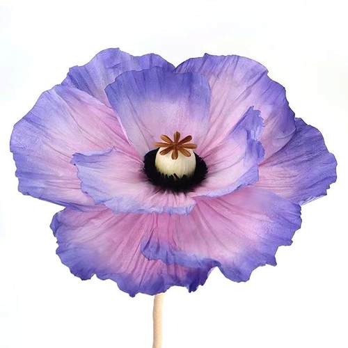 网纱花大型花艺纸花EVA仿真花假花绿植室内外户外装扮