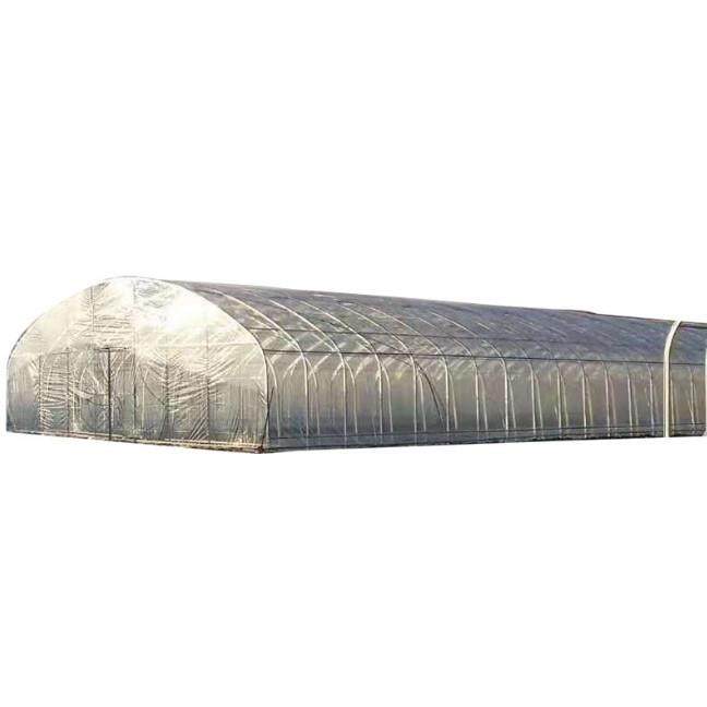 温室大棚骨架冷棚暖棚插地棚农业畜牧养殖棚户外镀锌管大棚,农机/农具/农膜,智能温室设备,淘宝优惠券,粉丝福利购,淘宝优惠卷