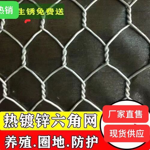 镀锌铁丝网护栏围栏养殖牛羊猪狗鸡鸭鸽六角网内外U墙保温网抹灰