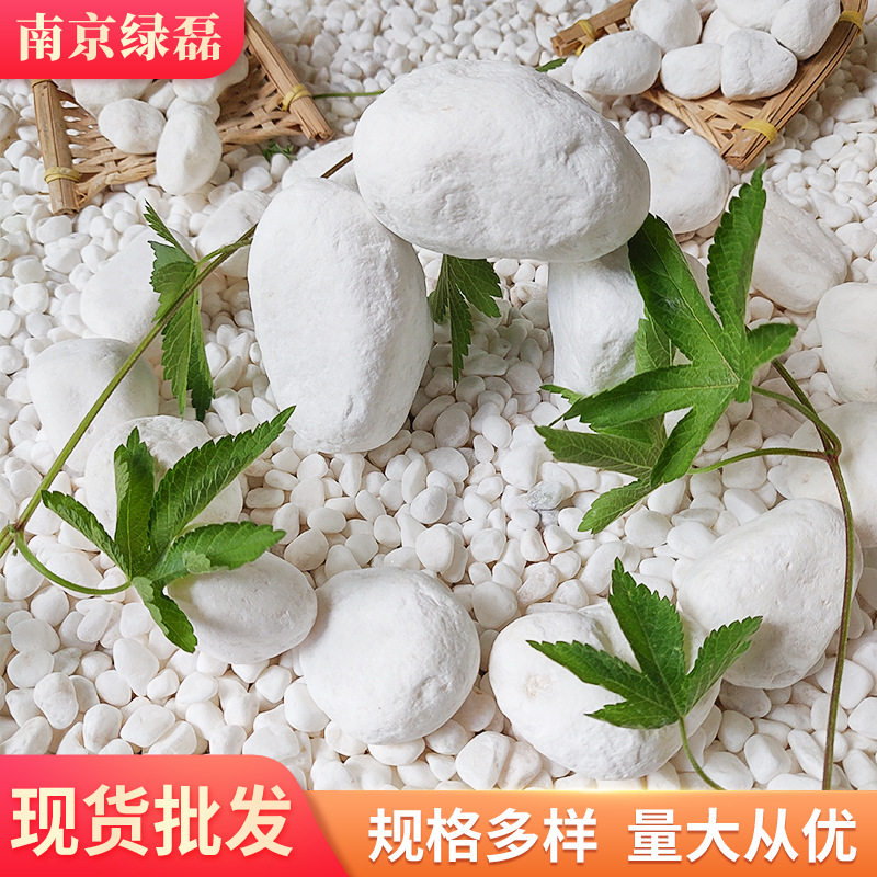 厂家雪花白汉白玉白色鹅卵石白色石子白色雨花石白云石批发