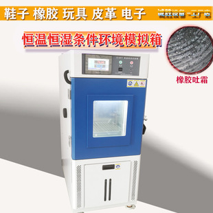 诚胜鞋子鞋材皮革制品恒温恒湿机水解测试机高温高温试验箱