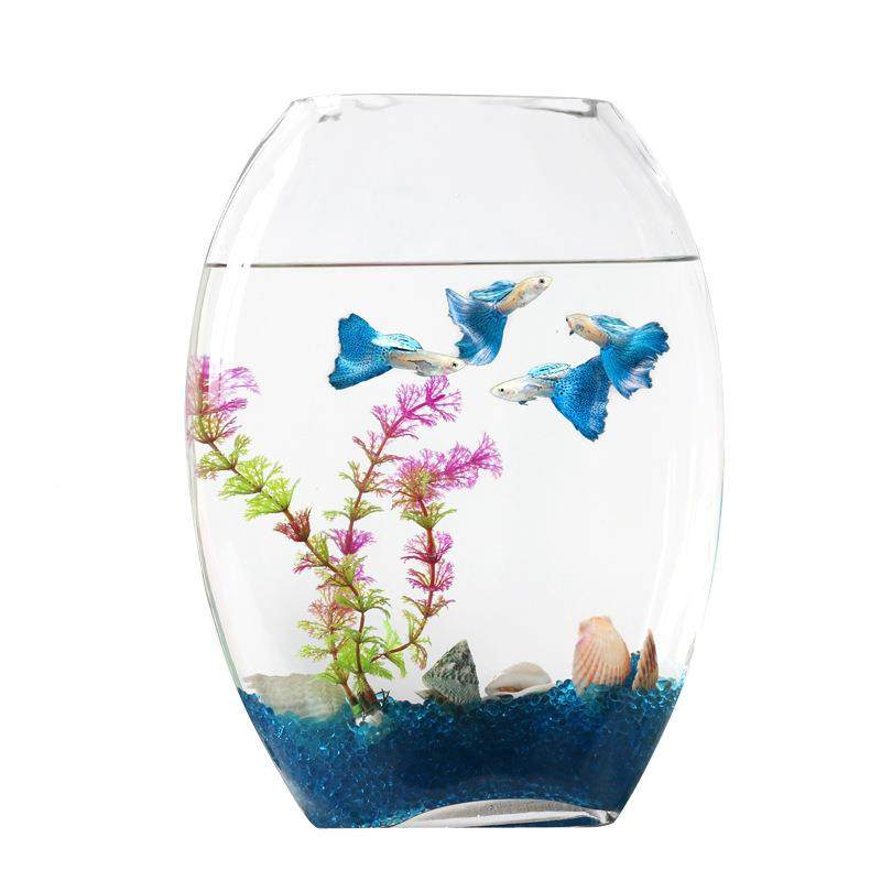 长方形扁鱼璃缸一体成型玻缸大号金透明生态鱼缸创鱼YHV意客厅水,宠物/宠物食品及用品,桌面缸,淘宝优惠券,粉丝福利购,淘宝优惠卷