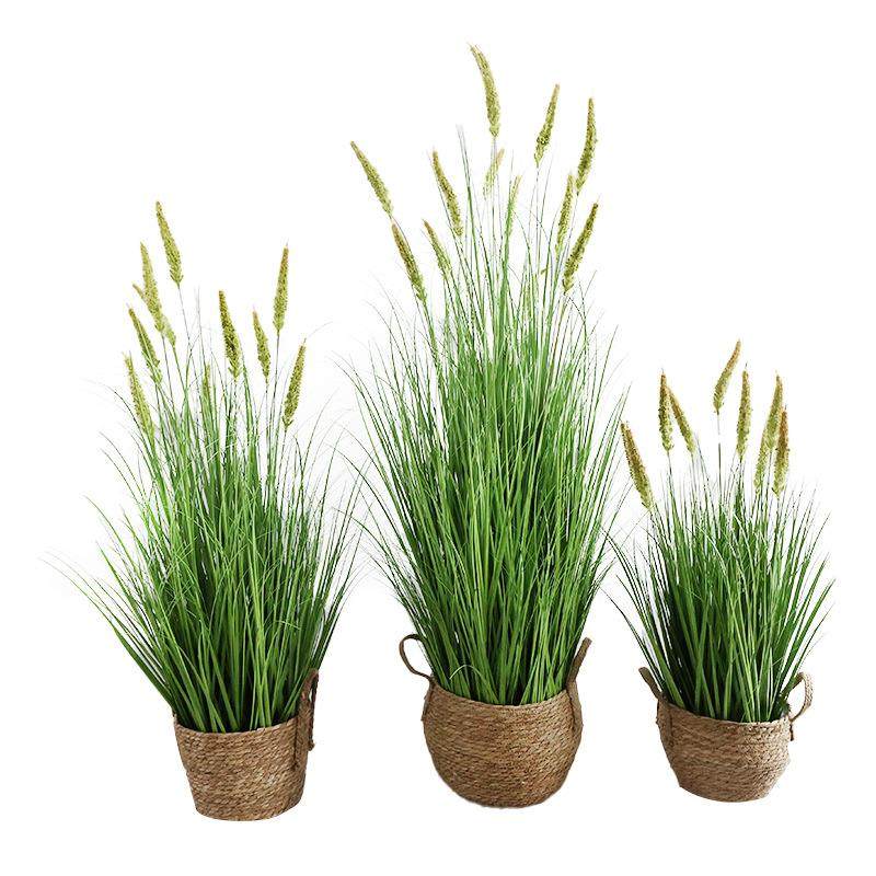 仿真芦苇假狗CYP尾草洋草盆栽露营草风造景商场服店装橱窗落地装,鲜花速递/花卉仿真/绿植园艺,仿真绿植,淘宝优惠券,粉丝福利购,淘宝优惠卷