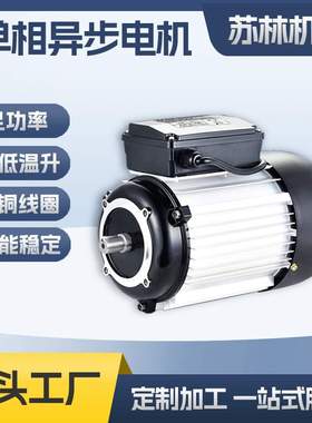 XD020真空泵专用电机900W双电容单相电机立式电机YL8032厂家