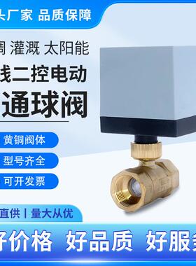 二通DQ200电动球阀水暖太阳能阀门220VAC三线两控阀门全通径自动