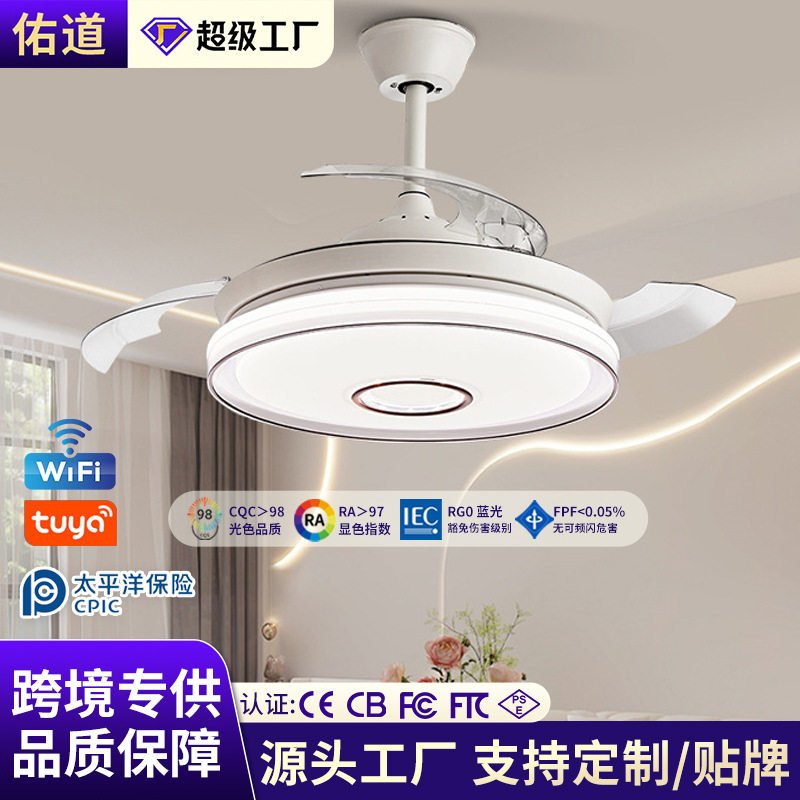 现代极简设计家用隐形风扇灯客厅餐厅吊扇灯智能变频书房茶室灯具