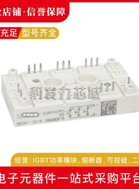 SKDH146/16-L105SKDH116/16-L75SKDH116/16-L105全新整流桥