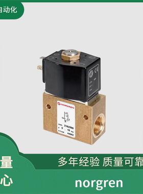 norgren 诺冠 ZAHNSTANGEM0.6 溢流阀 型材气缸 E/809032/05U/B11