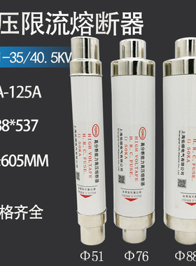XRNT-35KV XRNT1-40.5KV/50A 63A 80A 100A 125A高压限流熔断器
