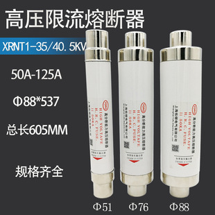 XRNT-35KV XRNT1-40.5KV/50A 63A 80A 100A 125A高压限流熔断器
