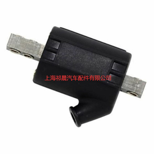 12 V单输出点火线圈Ignition Coils   2102-0417  21020417