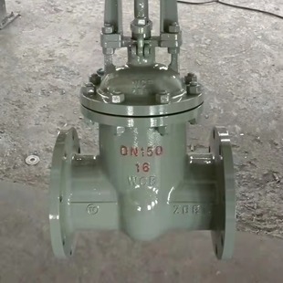 铸钢重型闸阀 DN15 化工专用阀门 16C DN600 Z41H 闸阀