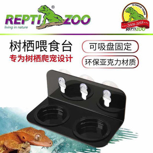 瑞皮Reptizoo爬虫水盆食盆树栖睫角日行守宫喂食台甲虫守宫蜥蜴