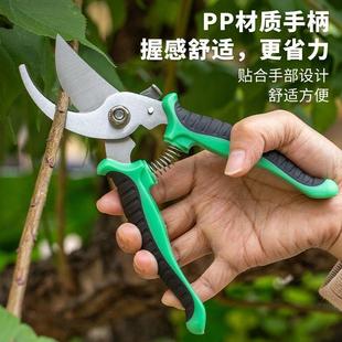 家用果树剪刀修枝神器剪花卉摘果剪树枝剪刀绿化嫁接园林园艺剪刀