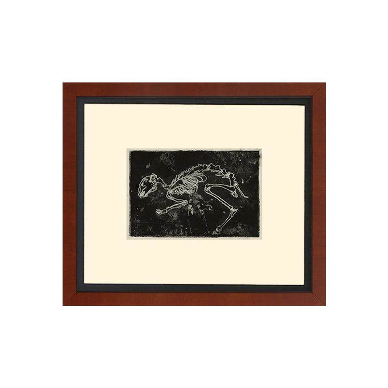 远古生物化石标本挂画甲骨中古小众艺术骨架组合客厅玄关装饰画