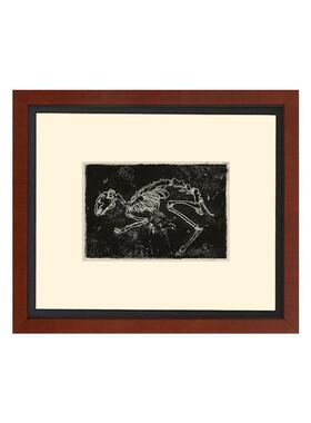远古生物化石标本挂画甲骨中古小众艺术骨架组合客厅玄关装饰画