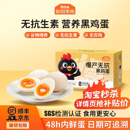 始祖黑鸡全产业业链黑鸡专家