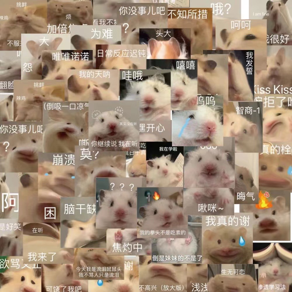 鼠鼠表情包搞笑沙雕仓鼠装饰创意趣味搞怪爆款手账贴画手机贴纸
