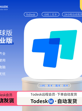 Todesk全球版独享租号1小时起租海外专业版电脑远程控制软件