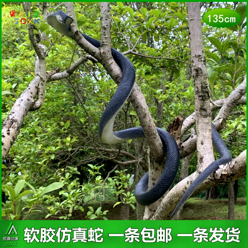 蟒蛇软胶包邮仿真蛇11