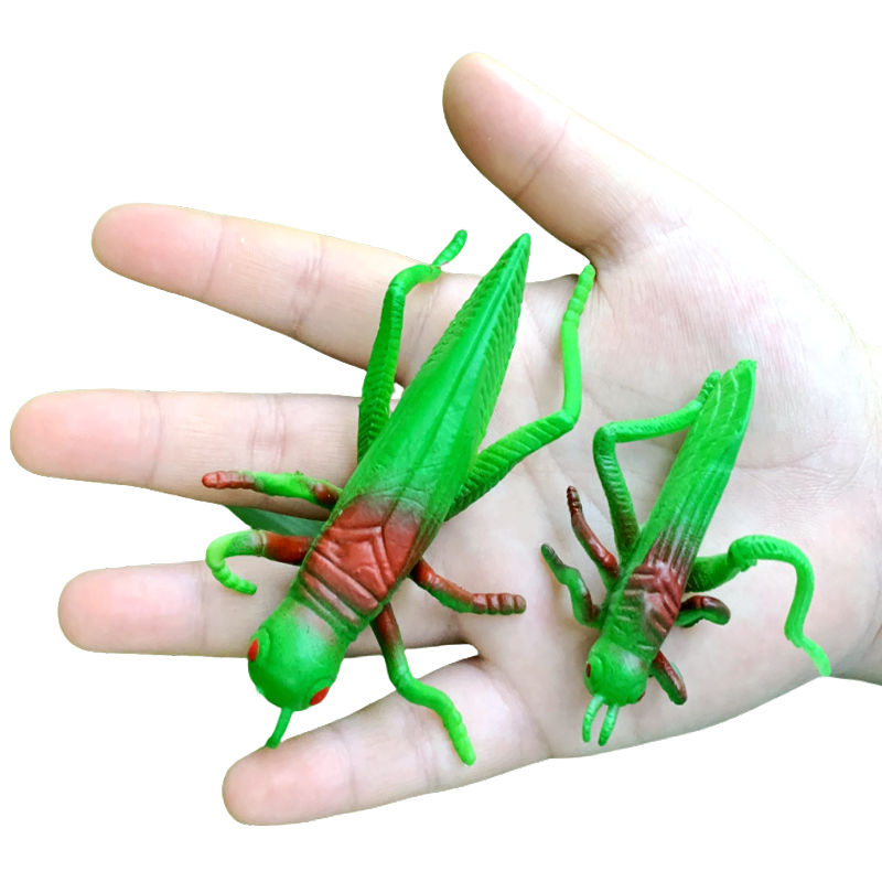 仿真蚂蚱软胶包邮玩具
