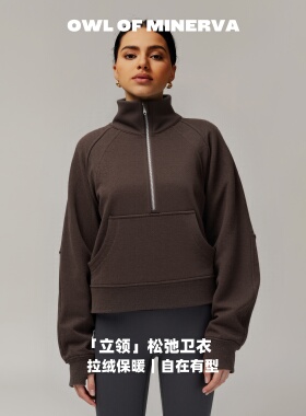 owl of minerva 抓绒立领运动通勤卫衣女外搭