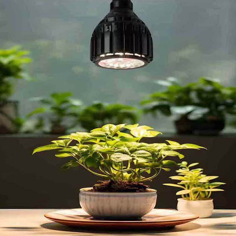 全光谱植物灯绿植补光灯天南星科花烛仿太阳灯泡多肉块根生长射灯