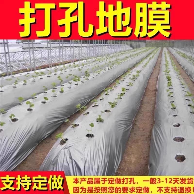 带孔地膜有孔双色打孔膜定制除草葱膜保湿种葱黑地膜抗老化西红柿