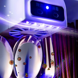 筷子消毒机家用带盖防尘厨房防霉免打孔多功能沥水筷子筒筷子笼