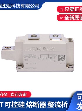 SKKT57/106/132/162/172/273/330/430/460/570/16E/18E可控硅模块