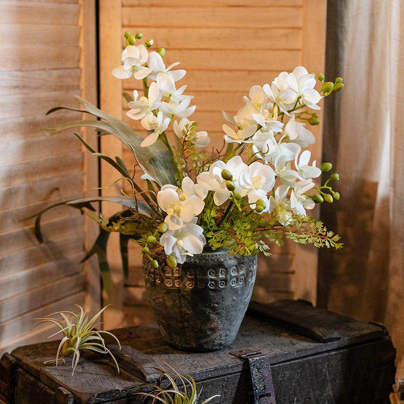 掬涵蝴蝶兰手感仿真花高档单支假花装饰家居婚庆客厅餐桌摆件花