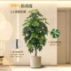 鸭脚木仿真绿植盆栽高端轻奢室内客厅大型仿生假树落地装 饰品摆件