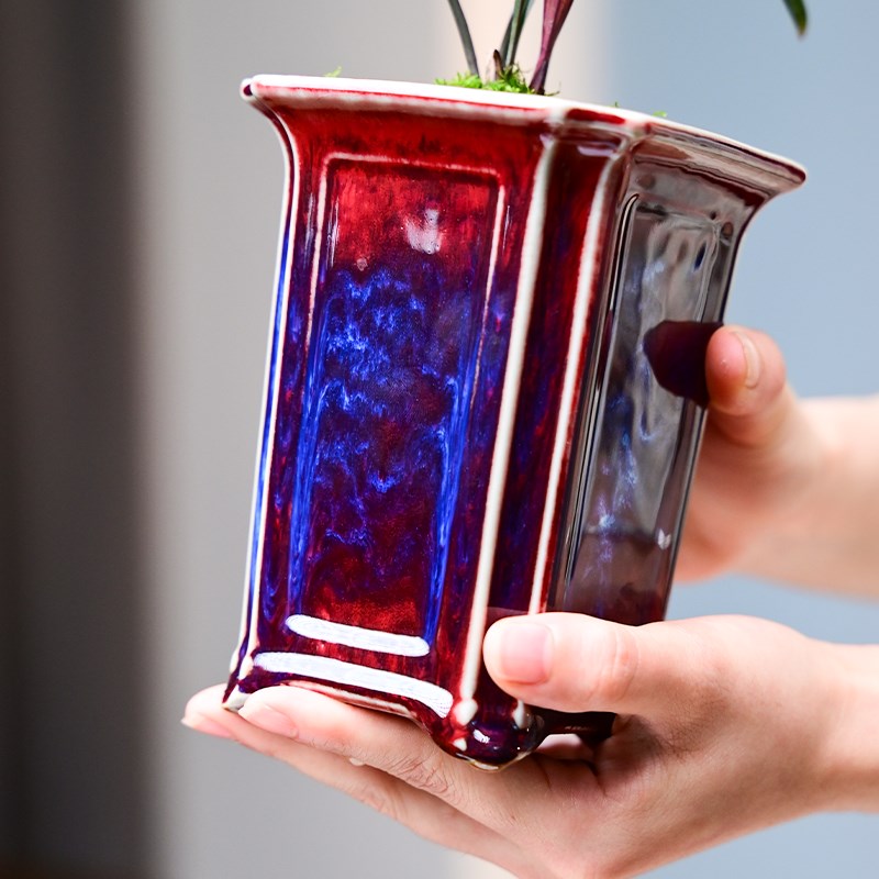 红草红荷c建兰钧窑名贵矮种兰花苗陶瓷好养红花小盆栽室内客厅茶