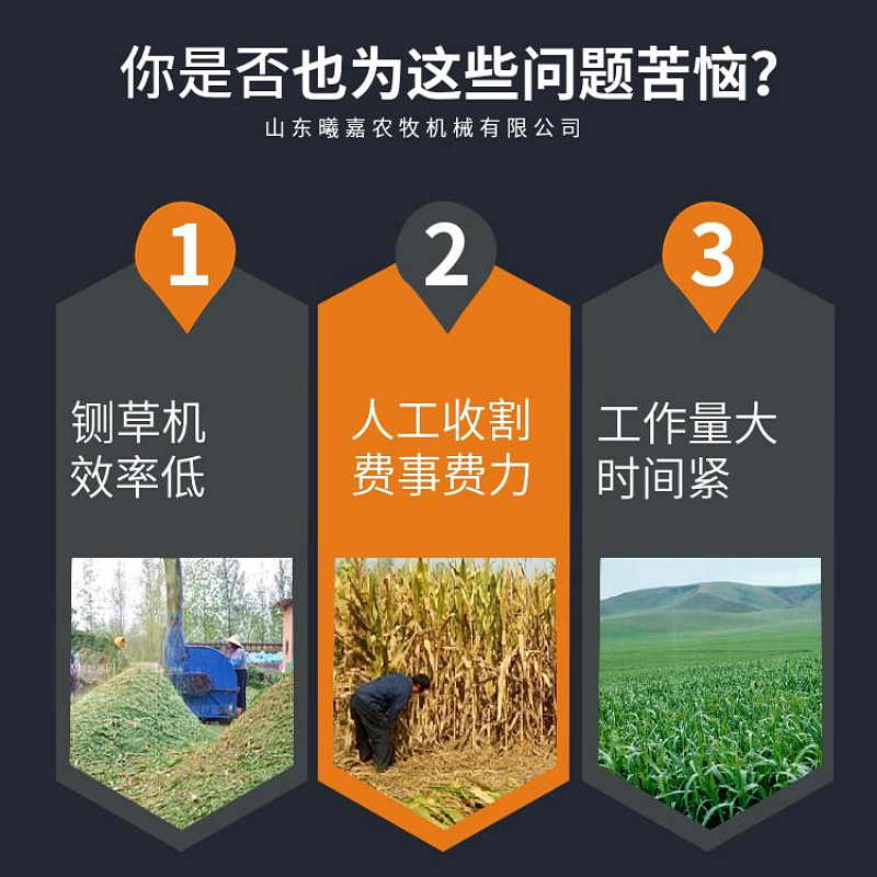 圆盘割台青储机自走式牧草玉米秸秆皇竹草小型青贮粉碎Z收割一体