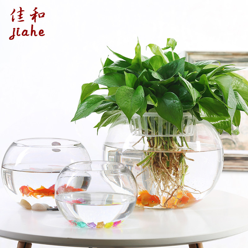 热销大号玻璃水培植物花盆办公室桌面水养K绿箩铜钱草花瓶圆形透