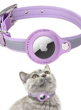 速发反光猫咪防丢失tag脖圈小猫节rtag调项圈可狗