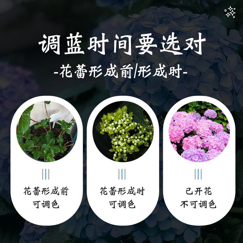 速发绣球调蓝剂无尽夏蓝色调色剂硫酸铝绣球花专用肥料变蓝营养缓