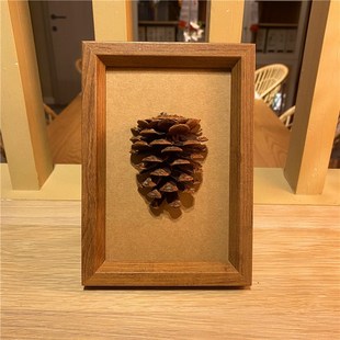 速发标本画松果松塔立体装饰画干果相框画框幼儿园墙面装饰