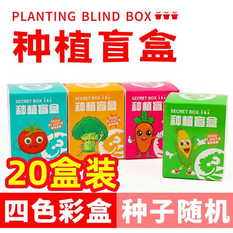 速发园童种植小盆栽幼植儿种植花卉迷你蔬菜盆栽绿儿礼物