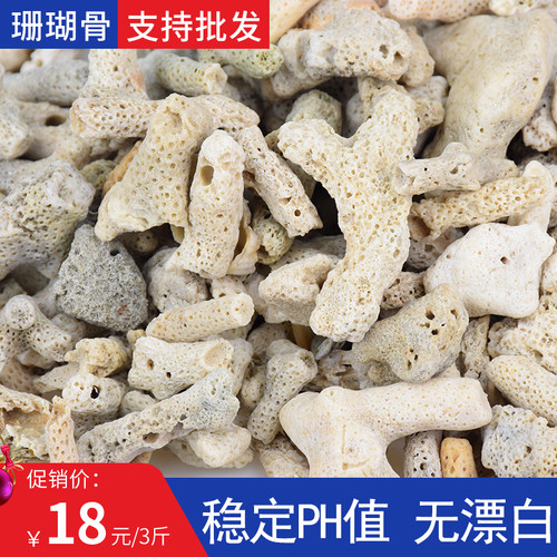 速发鱼缸过滤材料珊瑚珊鱼池海鲜池水产生养殖滤材骨瑚石珊瑚砂底