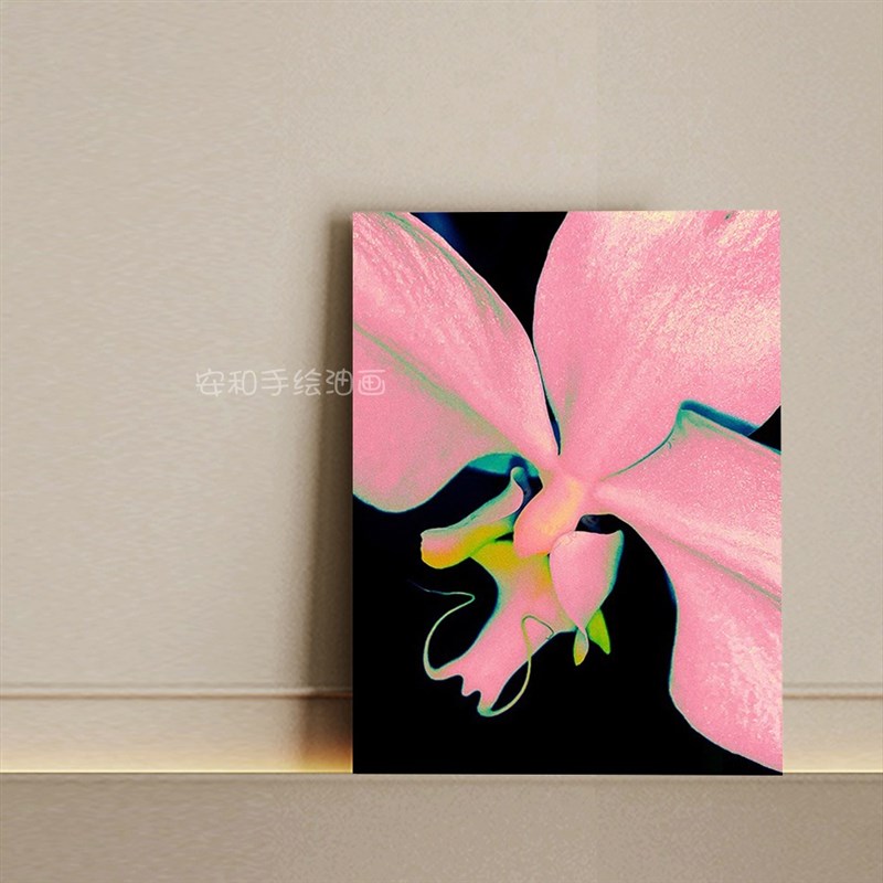 现货速发手绘油画蝴蝶兰客厅玄关入户门花卉装饰画简约风卧室挂画