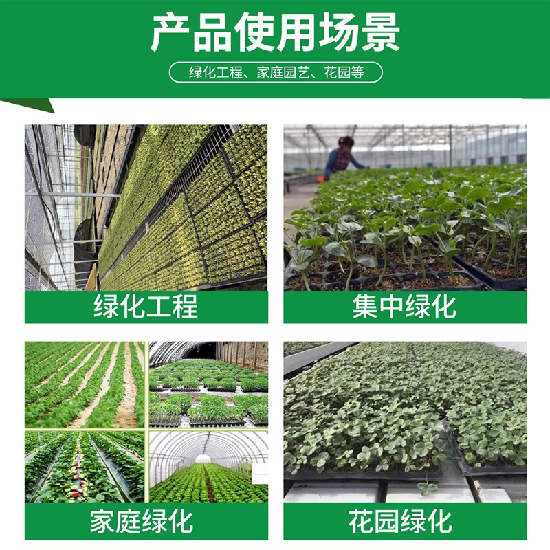速发育苗盘穴盘育苗盆育苗盒育苗杯营养杯辣椒西瓜玉米育苗专用苗
