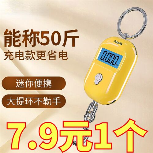 速发精准迷你手提电簧秤高精度便携型小式弹子秤吊秤家用买菜随身